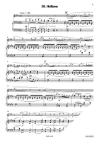 Concerto in G Minor Piccolo scores gallery preview page 6