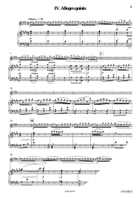 Concerto in G Minor Piccolo scores gallery preview page 7