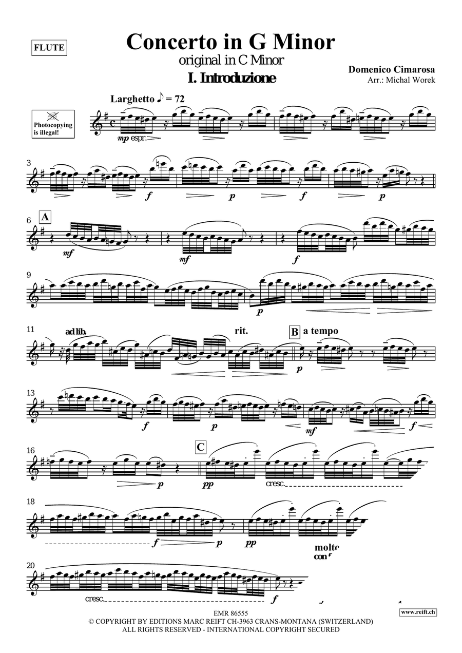 Concerto in G Minor Concerto in G Minor Flute Solo scores gallery preview page 3
