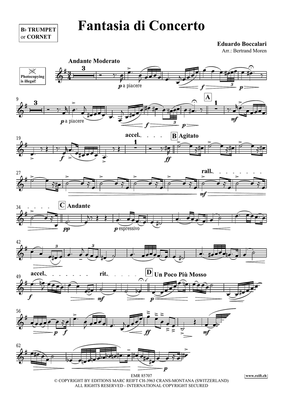 Fantasia di Concerto Fantasia di Concerto Cornet scores gallery preview page 3