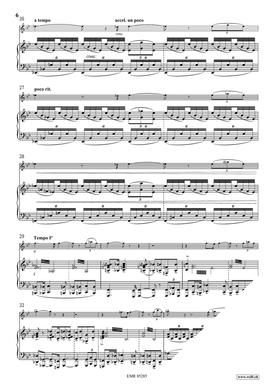 Solo Solo Piccolo scores gallery preview page 7