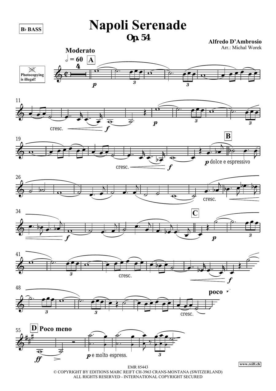 Napoli Serenade Napoli Serenade Voice Solo scores gallery preview page 3