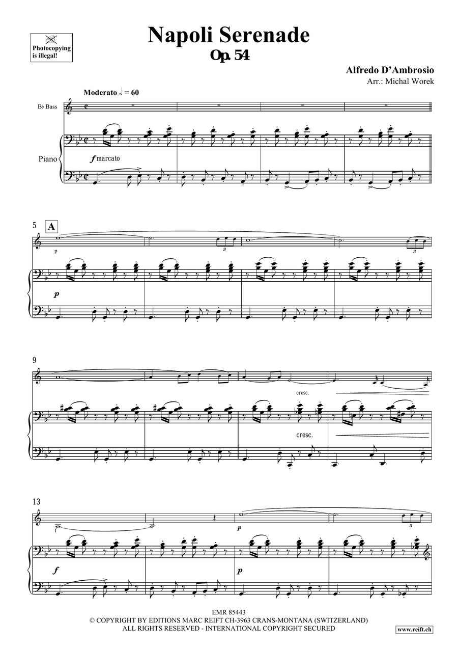 Napoli Serenade Napoli Serenade Voice Solo scores gallery preview page 4