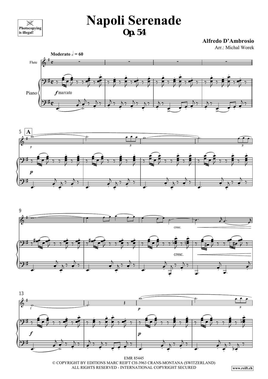 Napoli Serenade Napoli Serenade Flute Solo scores gallery preview page 4