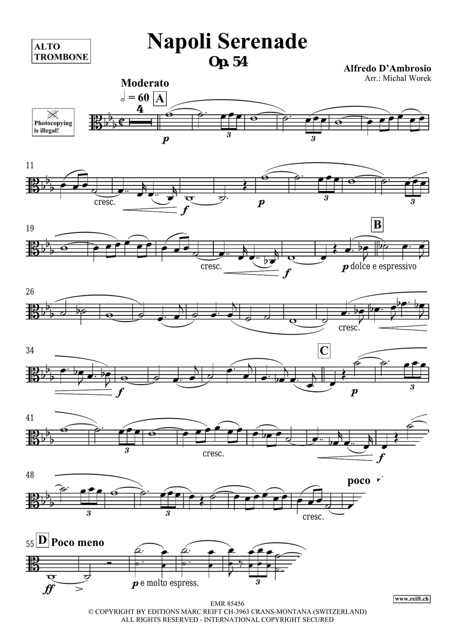 Napoli Serenade Napoli Serenade Piano Accompaniment scores gallery preview page 3