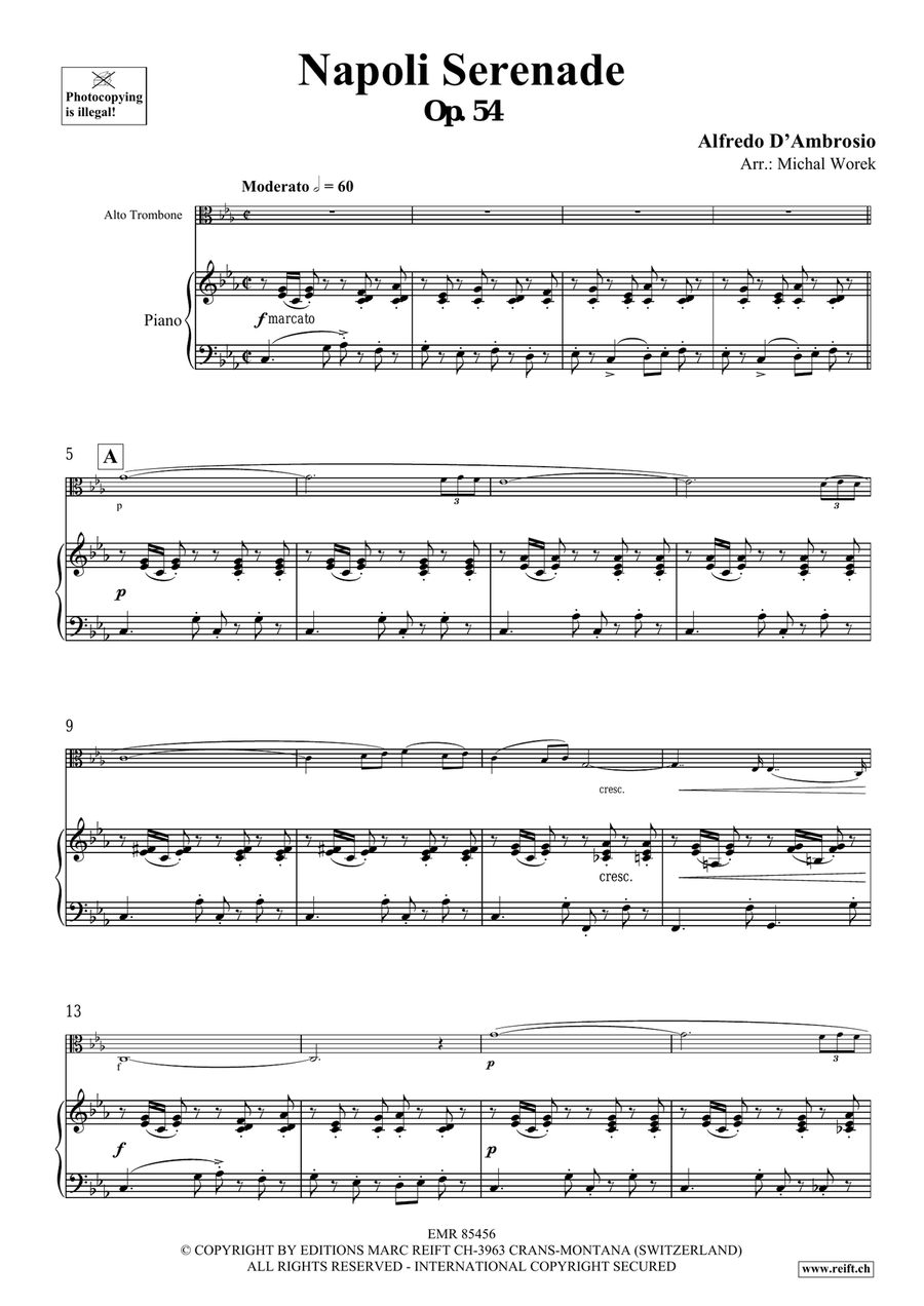 Napoli Serenade Napoli Serenade Piano Accompaniment scores gallery preview page 4