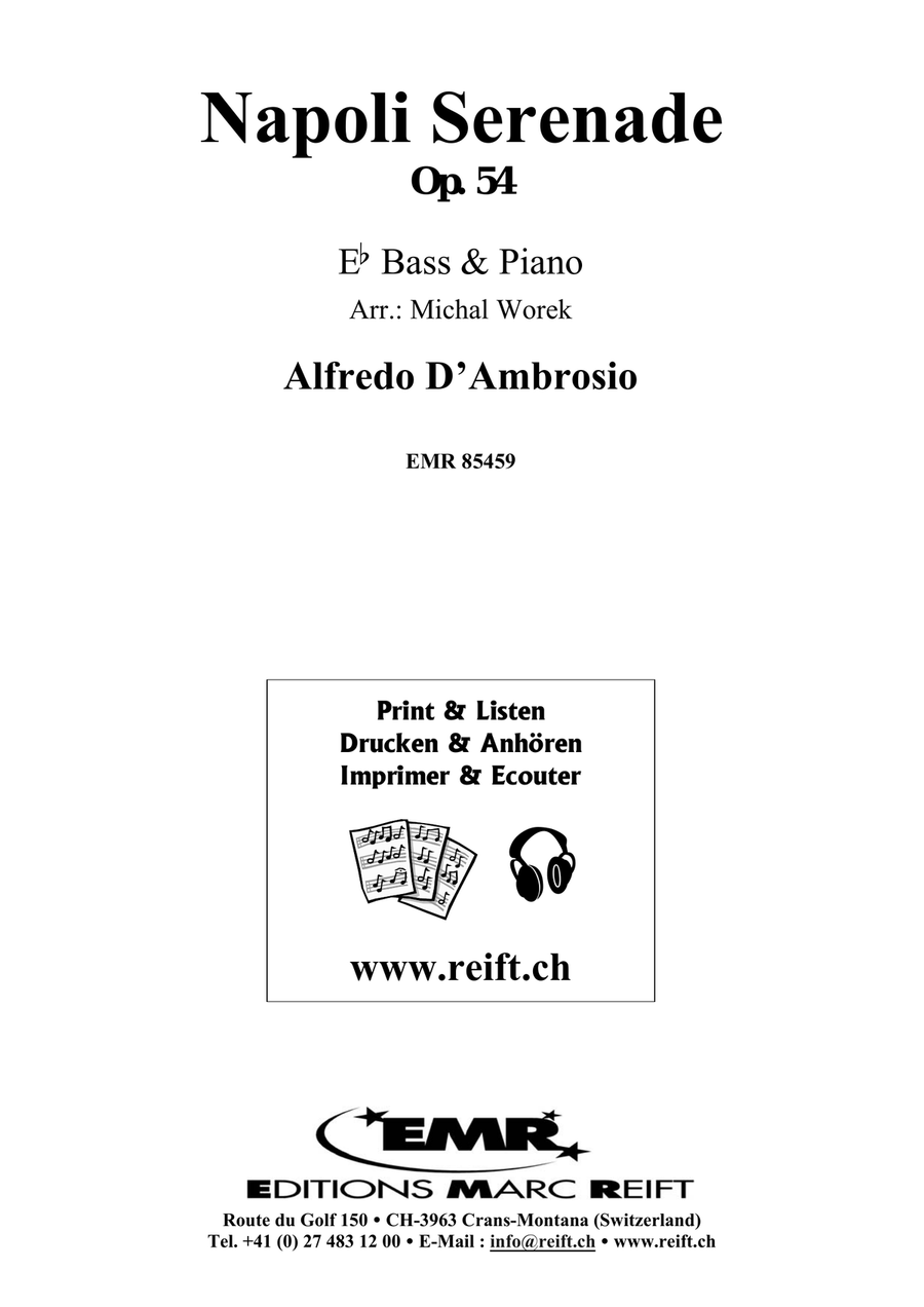 Napoli Serenade Napoli Serenade Voice Solo scores gallery preview page 2