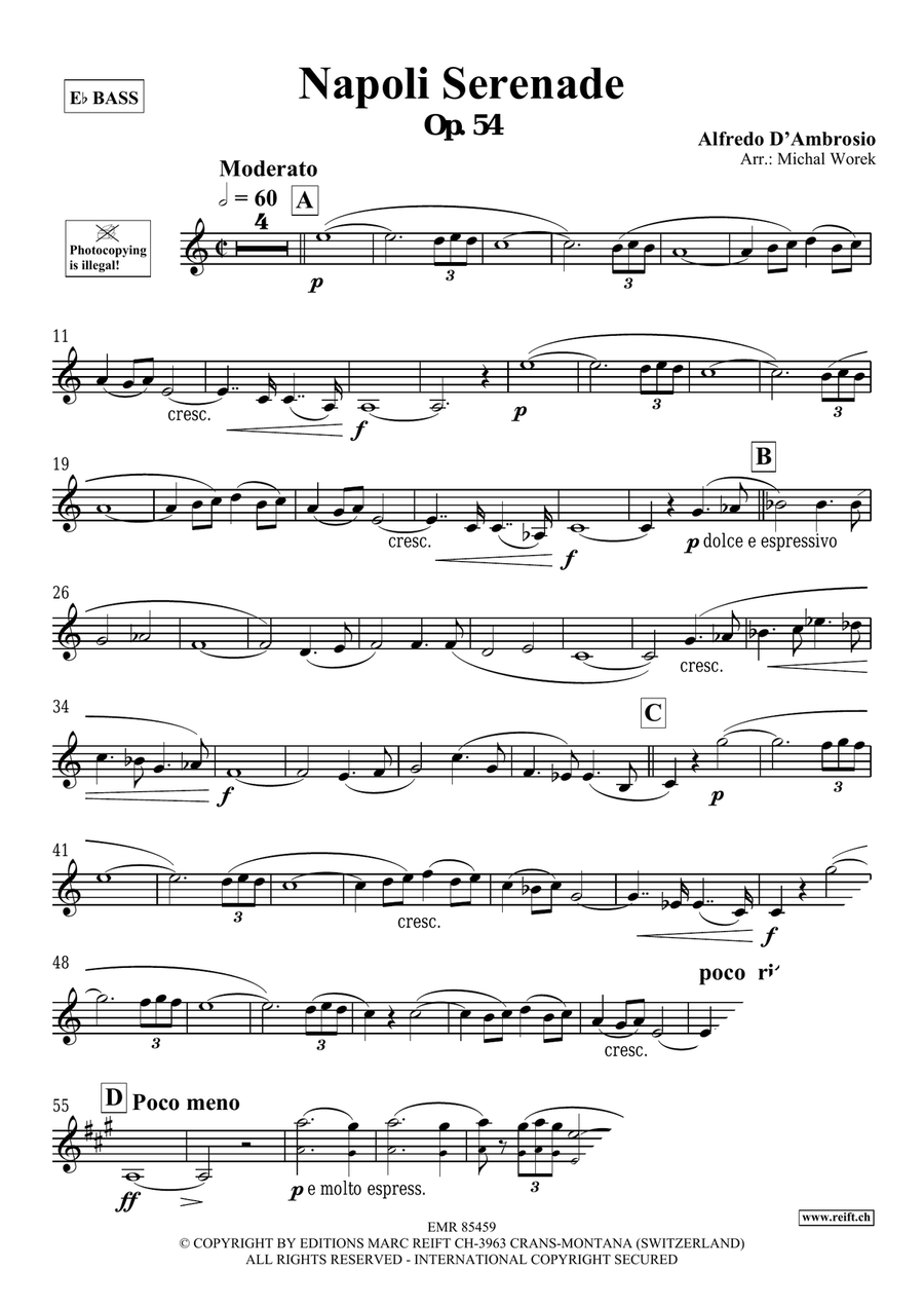 Napoli Serenade Napoli Serenade Voice Solo scores gallery preview page 3
