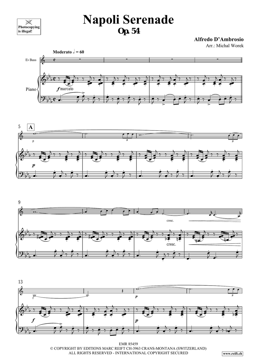 Napoli Serenade Napoli Serenade Voice Solo scores gallery preview page 4