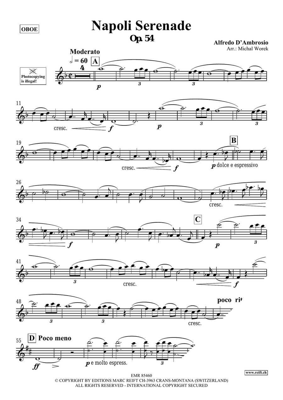 Napoli Serenade Napoli Serenade Piano Accompaniment scores gallery preview page 3