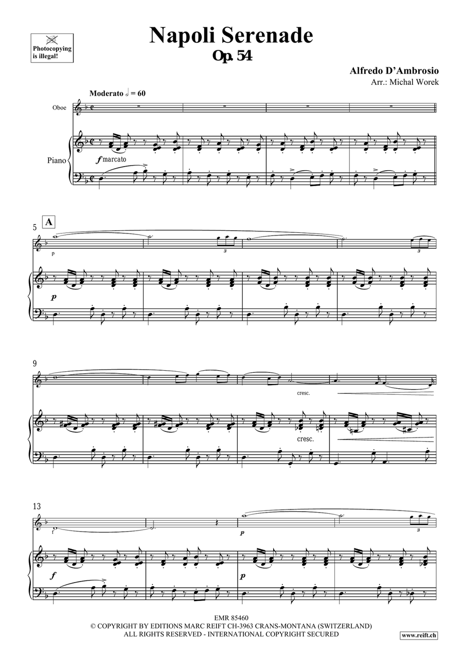 Napoli Serenade Napoli Serenade Piano Accompaniment scores gallery preview page 4