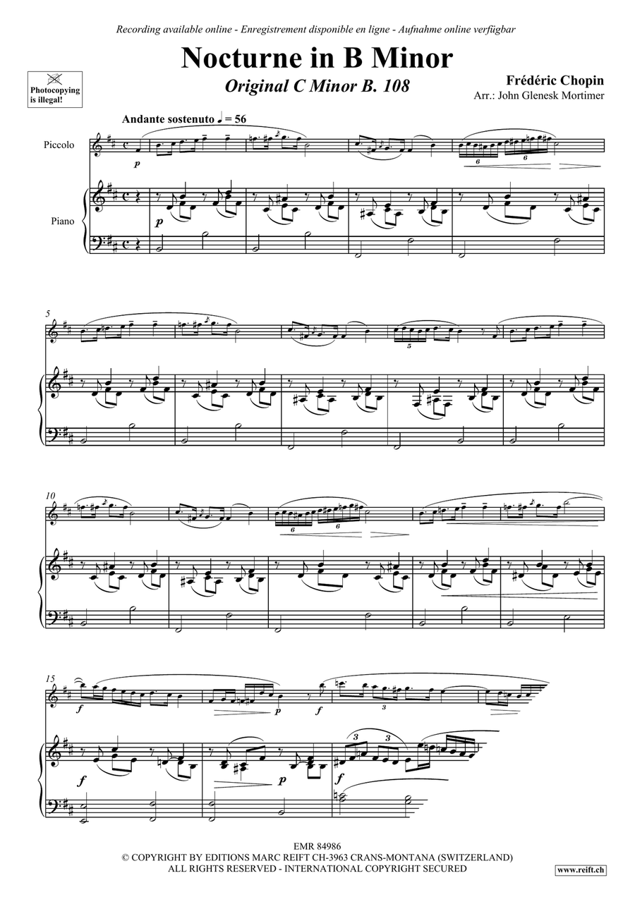 Nocturne in D Minor Nocturne in D Minor Piccolo scores gallery preview page 3