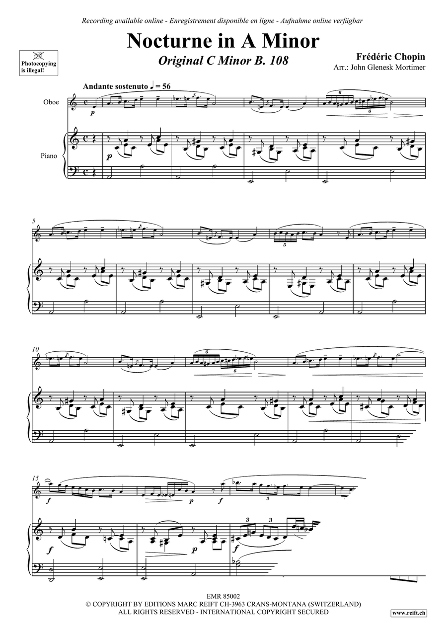 Nocturne in D Minor Nocturne in D Minor Piano Accompaniment scores gallery preview page 3