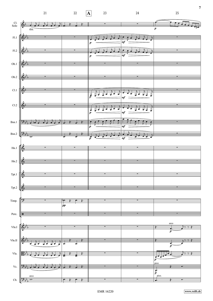 Clarinet Sonata Clarinet Sonata Orchestra scores gallery preview page 8