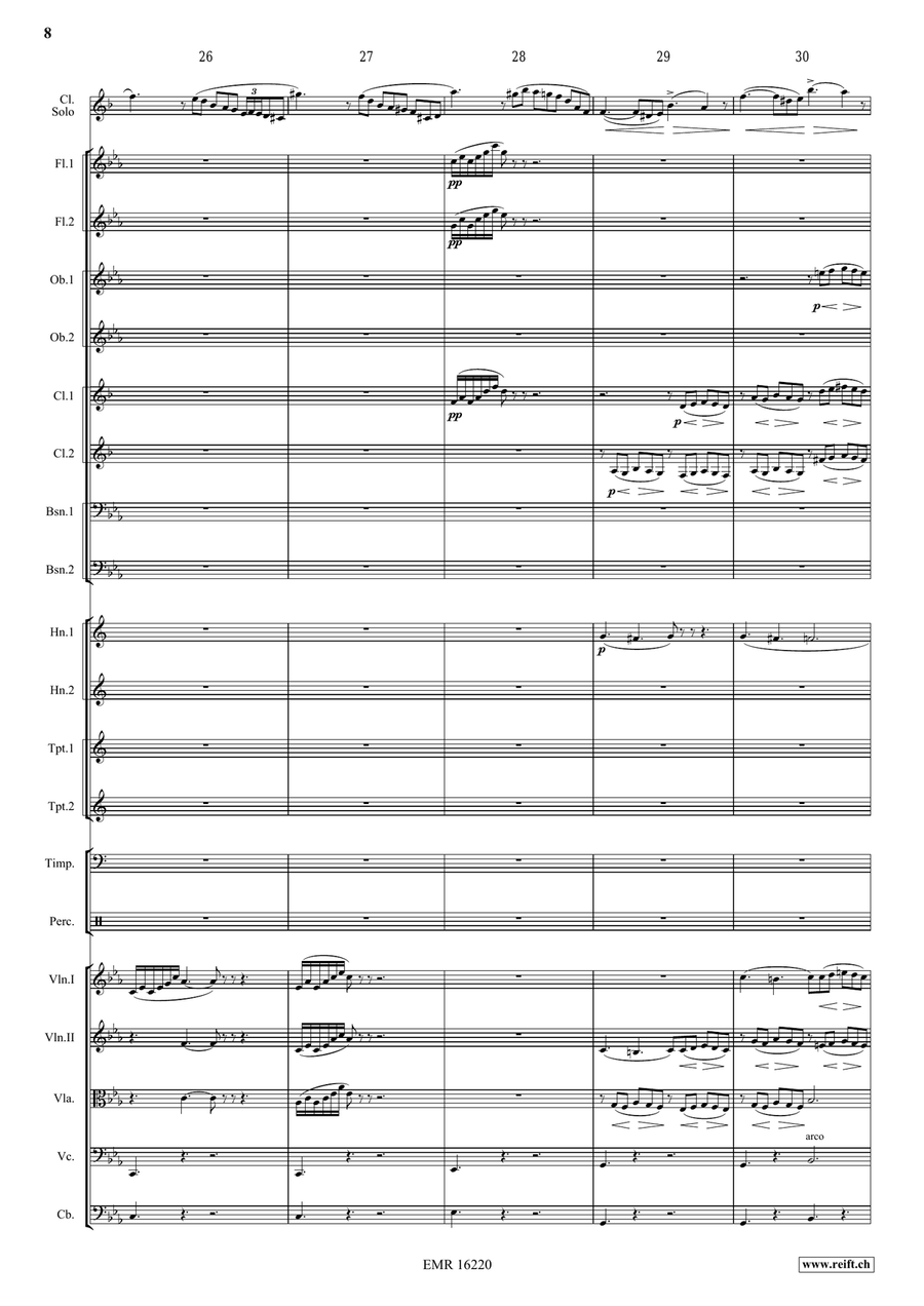 Clarinet Sonata Clarinet Sonata Orchestra scores gallery preview page 9