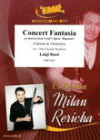 Concert Fantasia