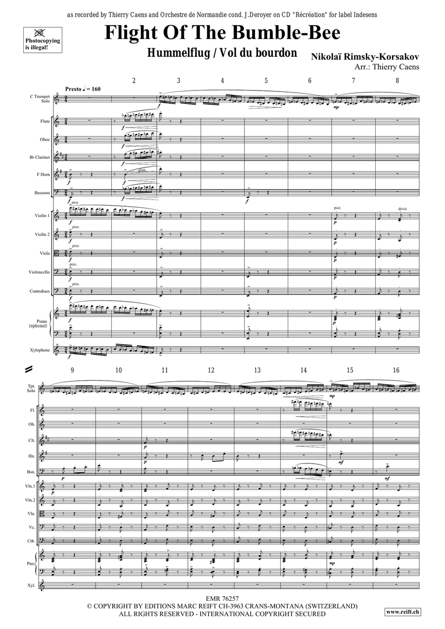Flight Of The Bumble-Bee Flight Of The Bumble-Bee Orchestra scores gallery preview page 3