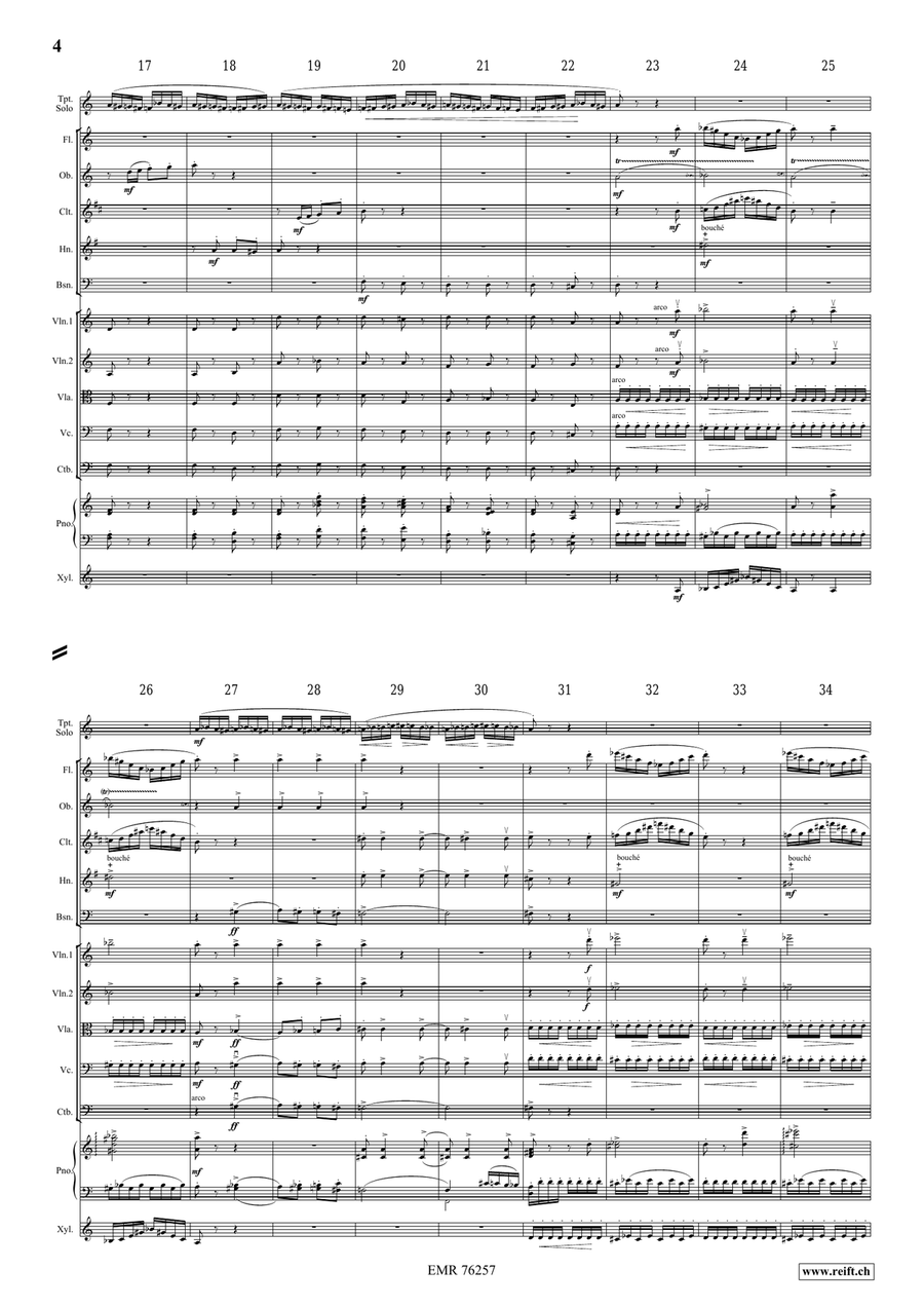 Flight Of The Bumble-Bee Flight Of The Bumble-Bee Orchestra scores gallery preview page 4