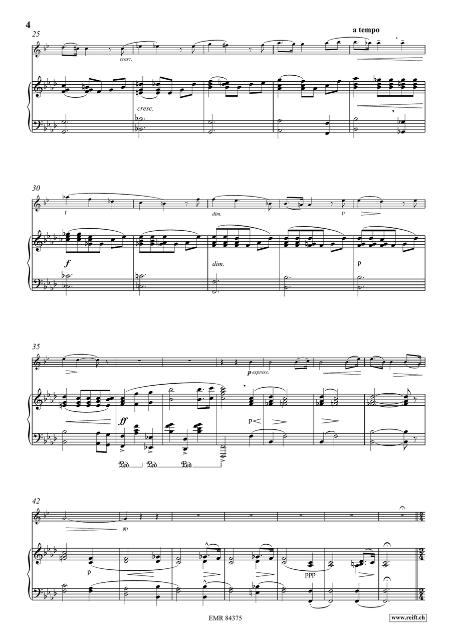 Andante et Allegro Andante et Allegro Clarinet Solo scores gallery preview page 5