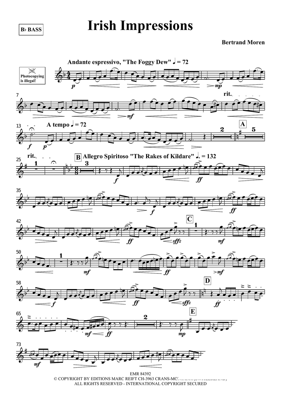 Irish Impressions Voice Solo scores gallery preview page 4