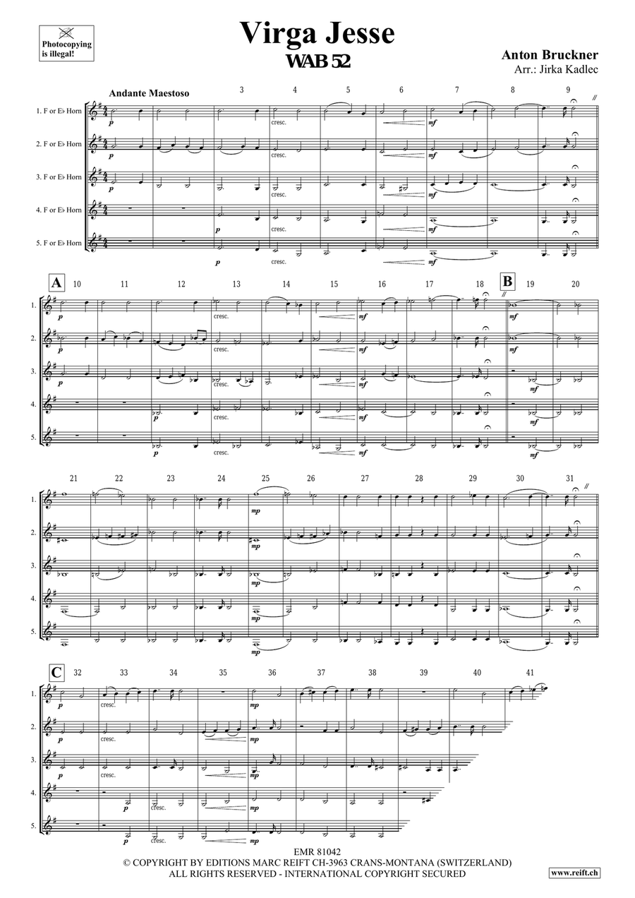 Virga Jesse Virga Jesse Horn scores gallery preview page 3