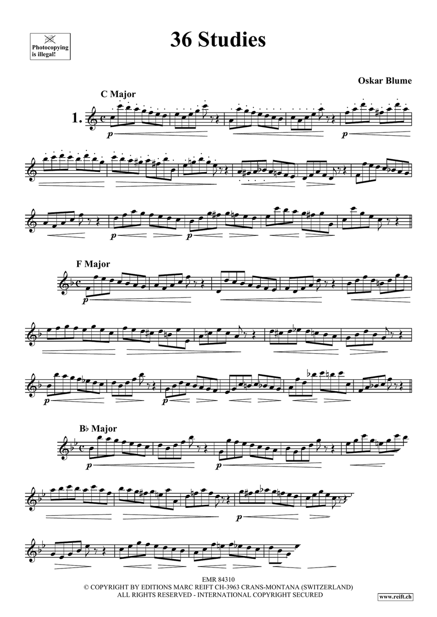 36 Studies 36 Studies Piccolo scores gallery preview page 3