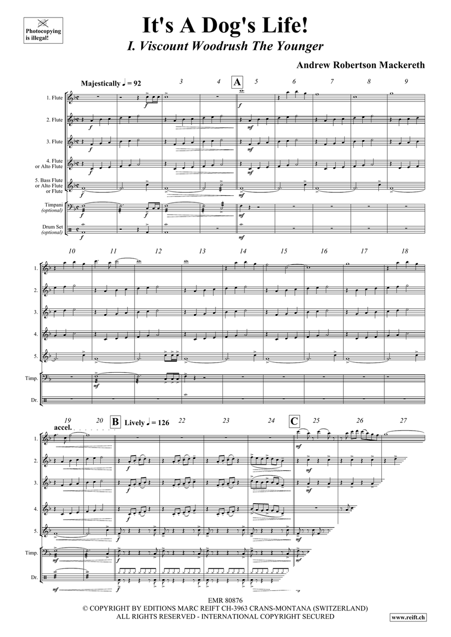 It's A Dog's Life! It's A Dog's Life! Flute scores gallery preview page 4