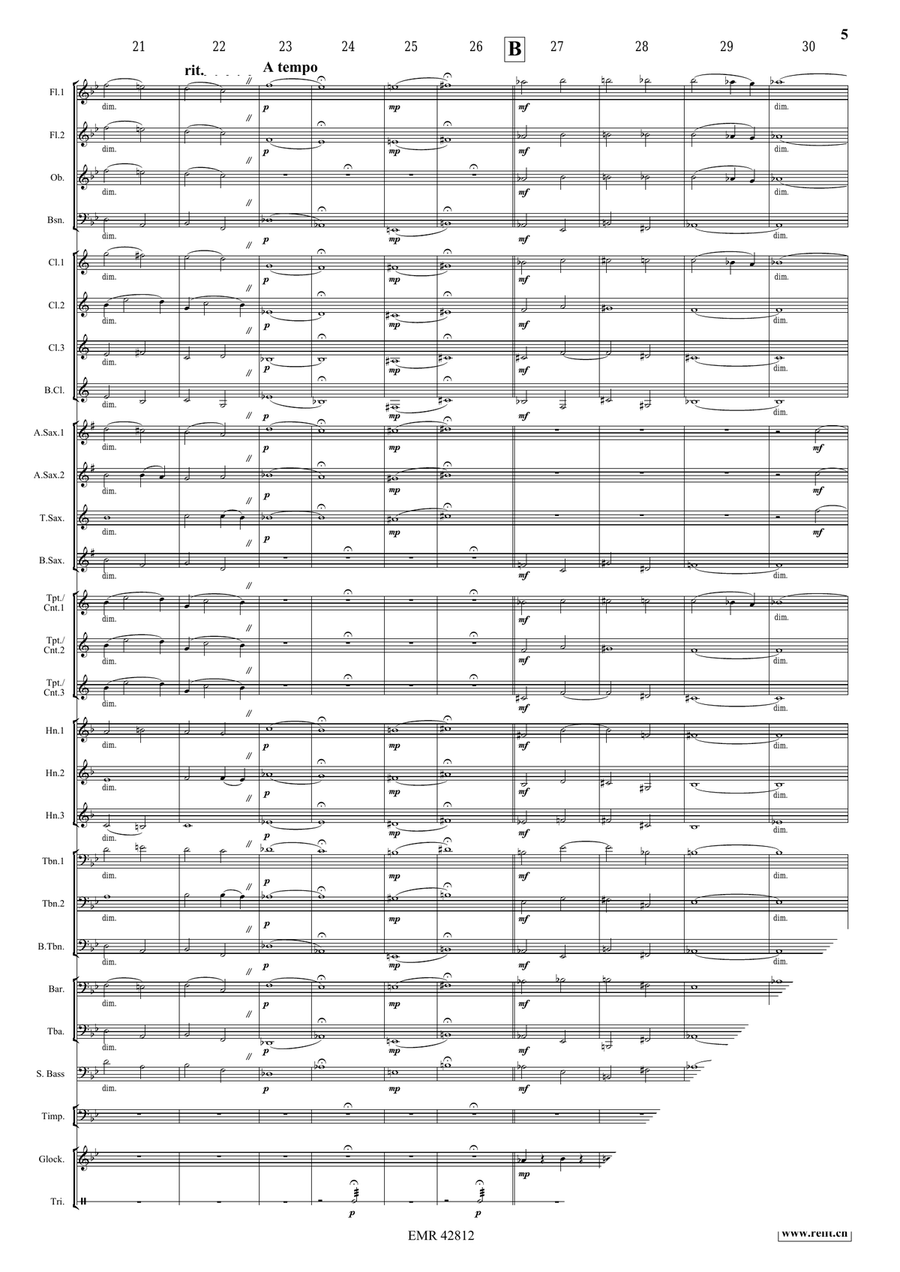 Ave Maria Ave Maria Concert Band scores gallery preview page 5