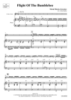 Flight Of The Bumblebee Bass Clarinet scores gallery preview page 4