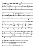 Flight Of The Bumblebee Bass Clarinet scores gallery preview page 5