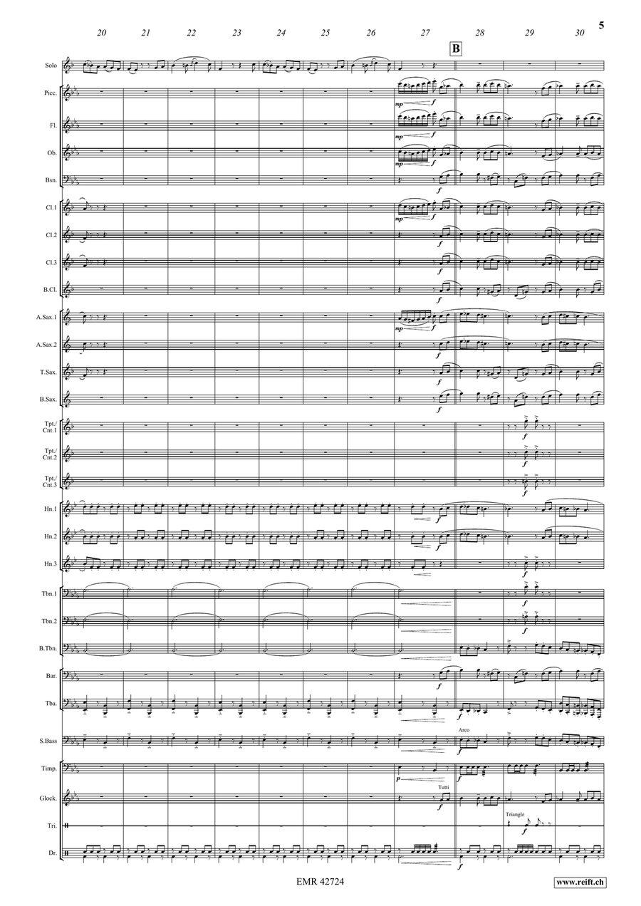 The Carnival Of Venice The Carnival Of Venice Concert Band scores gallery preview page 5