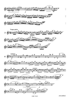 24 Melodic Studies Flute Solo scores gallery preview page 4