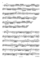 24 Melodic Studies Flute Solo scores gallery preview page 5