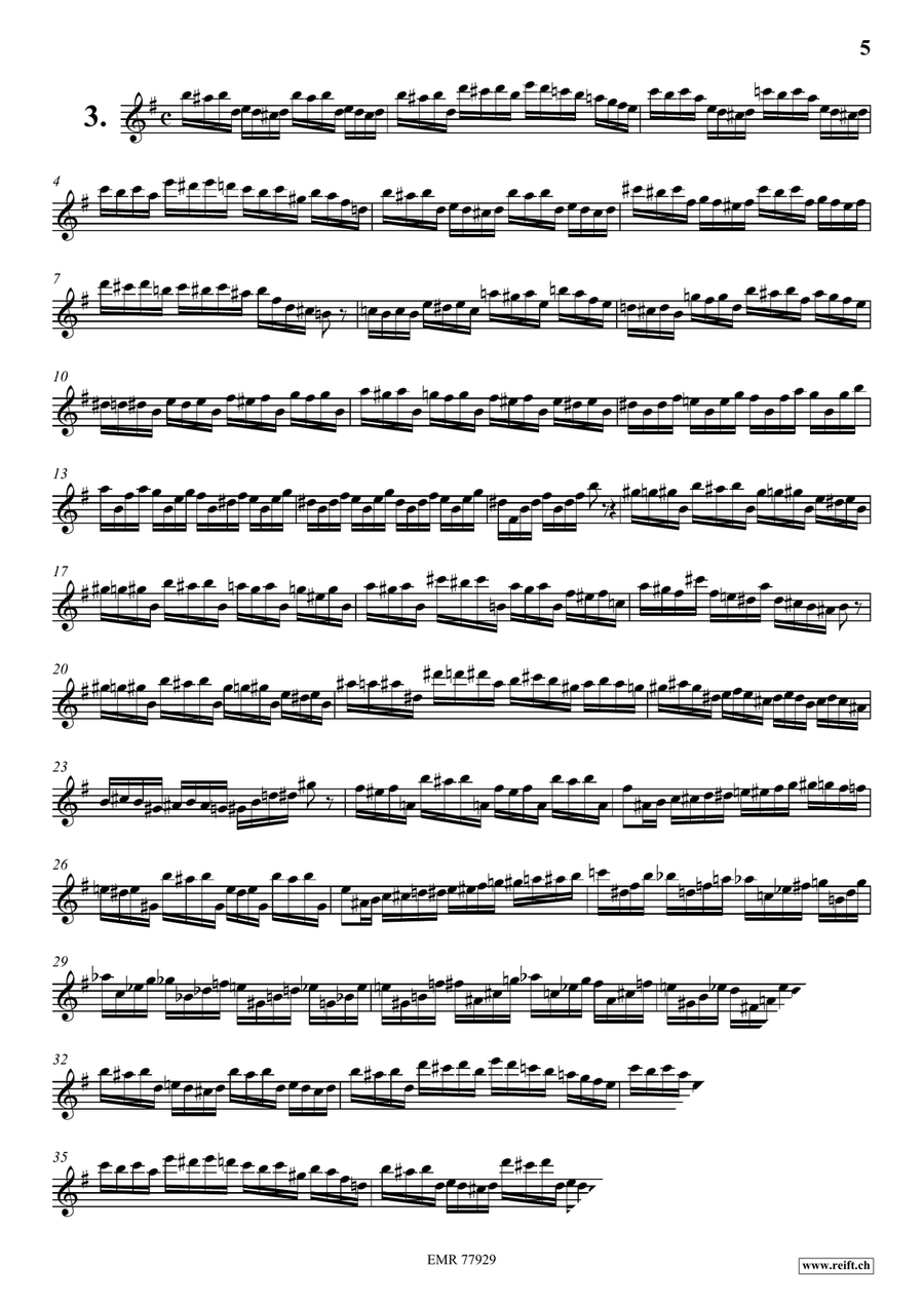24 Virtuoso Studies 24 Virtuoso Studies Flute Solo scores gallery preview page 5
