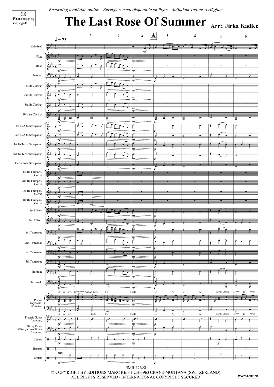 The Last Rose Of Summer The Last Rose Of Summer Bassoon scores gallery preview page 3