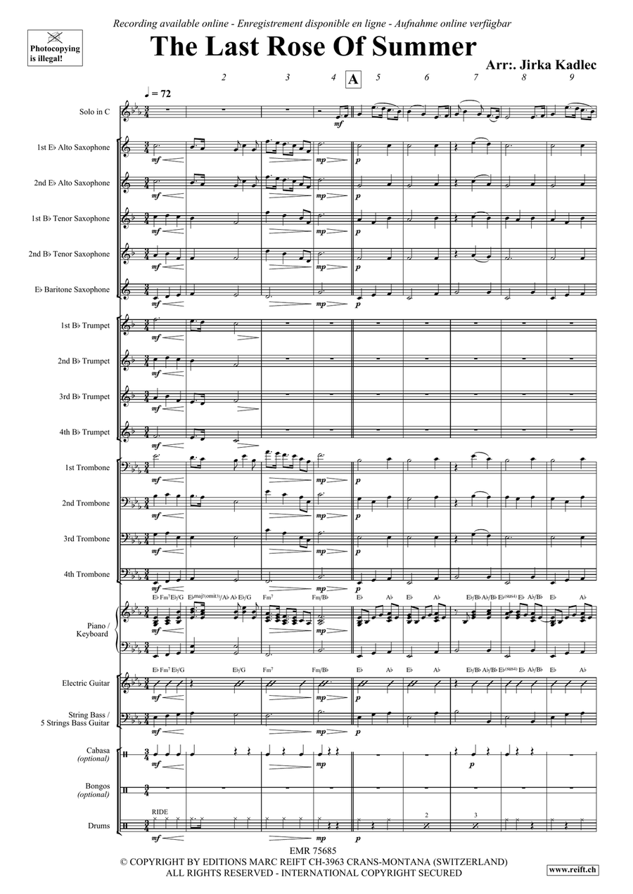 The Last Rose Of Summer The Last Rose Of Summer Bassoon scores gallery preview page 3