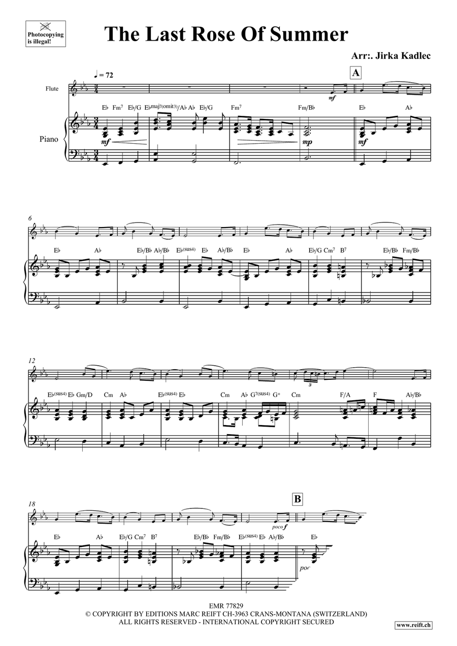 The Last Rose Of Summer The Last Rose Of Summer Flute Solo scores gallery preview page 3