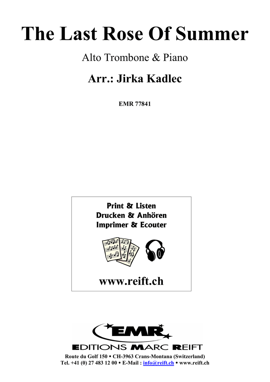 The Last Rose Of Summer The Last Rose Of Summer Piano Accompaniment scores gallery preview page 2