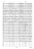 March from Rienzi Concert Band scores gallery preview page 7
