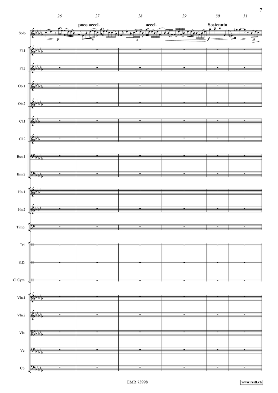 Concerto Concerto Orchestra scores gallery preview page 7