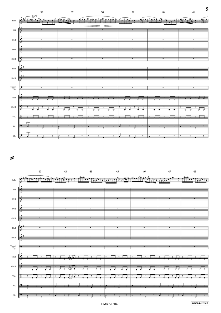 The Carnival Of Venice The Carnival Of Venice Orchestra scores gallery preview page 5