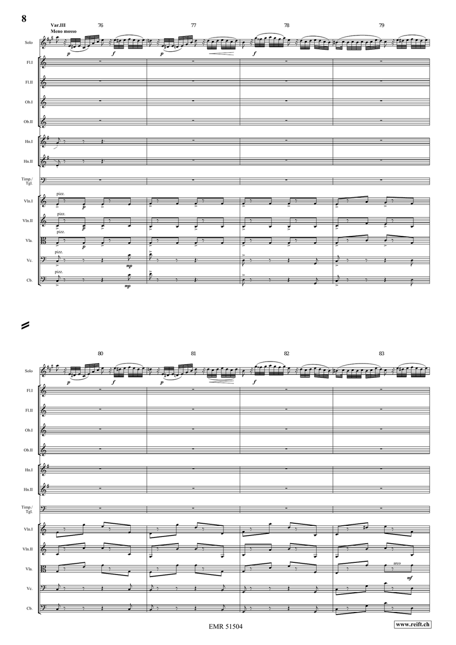 The Carnival Of Venice The Carnival Of Venice Orchestra scores gallery preview page 8