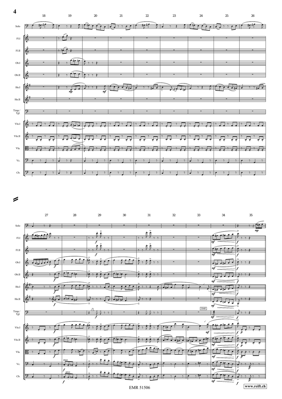The Carnival Of Venice The Carnival Of Venice Orchestra scores gallery preview page 4