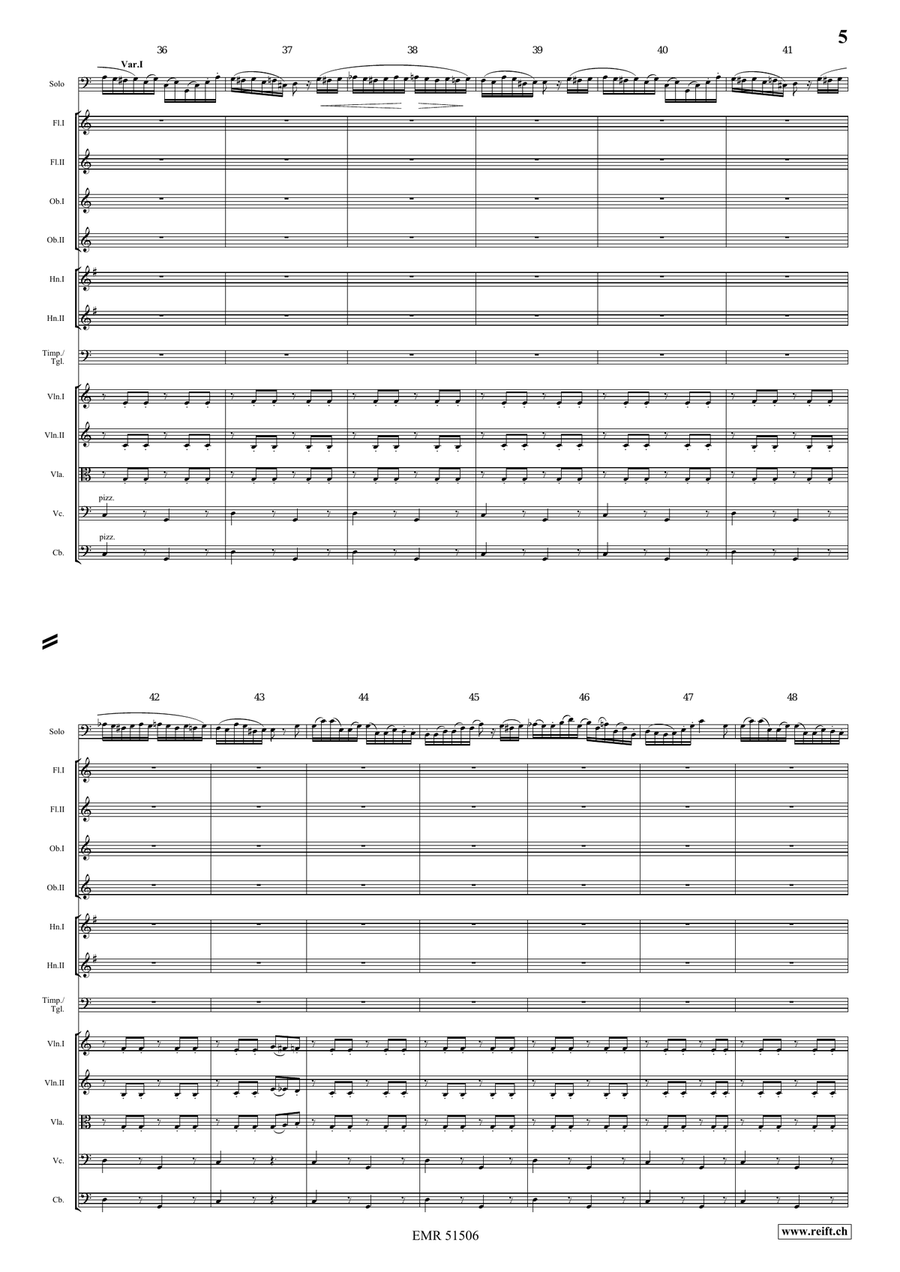 The Carnival Of Venice The Carnival Of Venice Orchestra scores gallery preview page 5