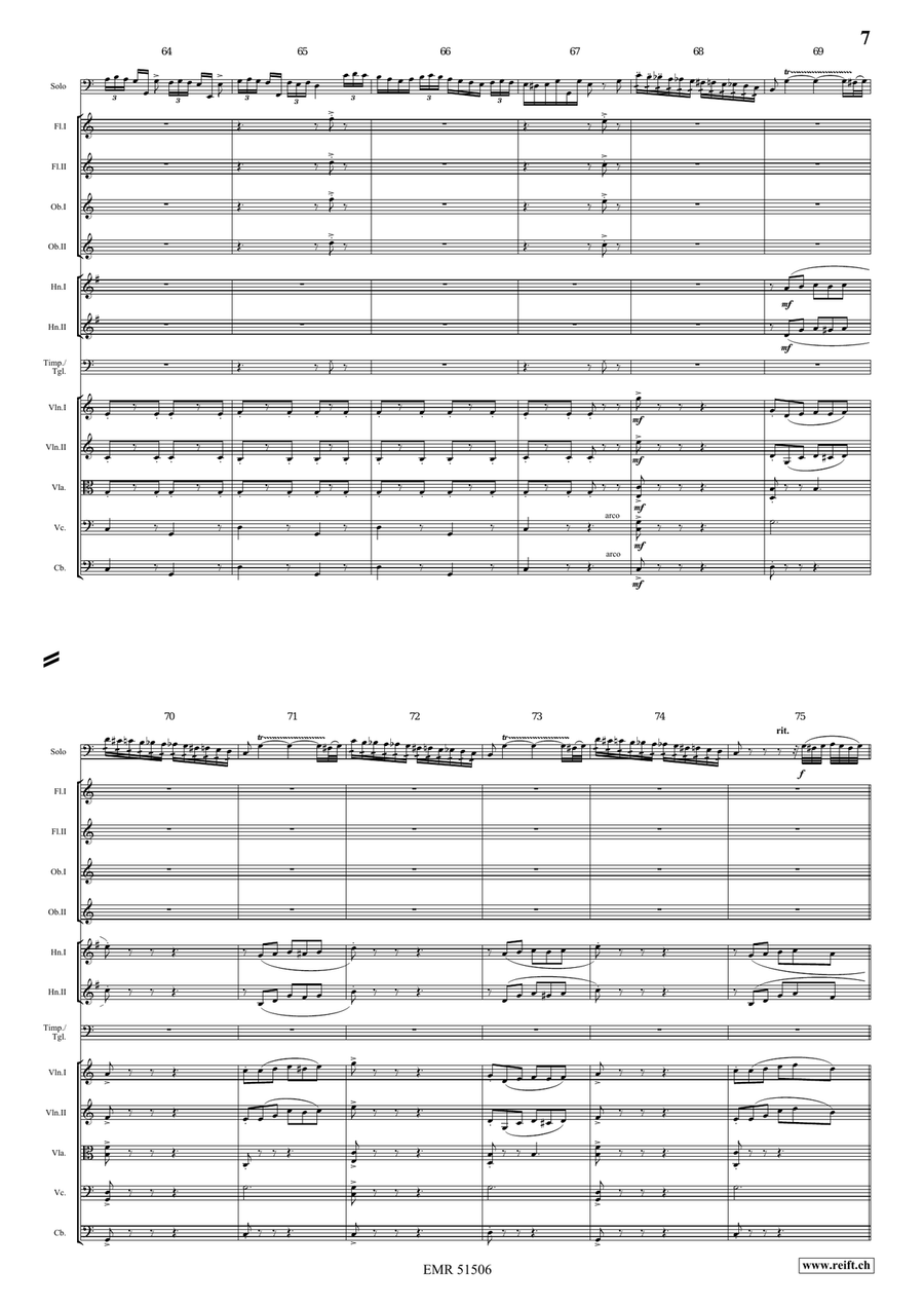 The Carnival Of Venice The Carnival Of Venice Orchestra scores gallery preview page 7