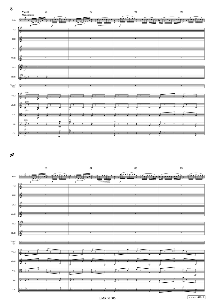 The Carnival Of Venice The Carnival Of Venice Orchestra scores gallery preview page 8