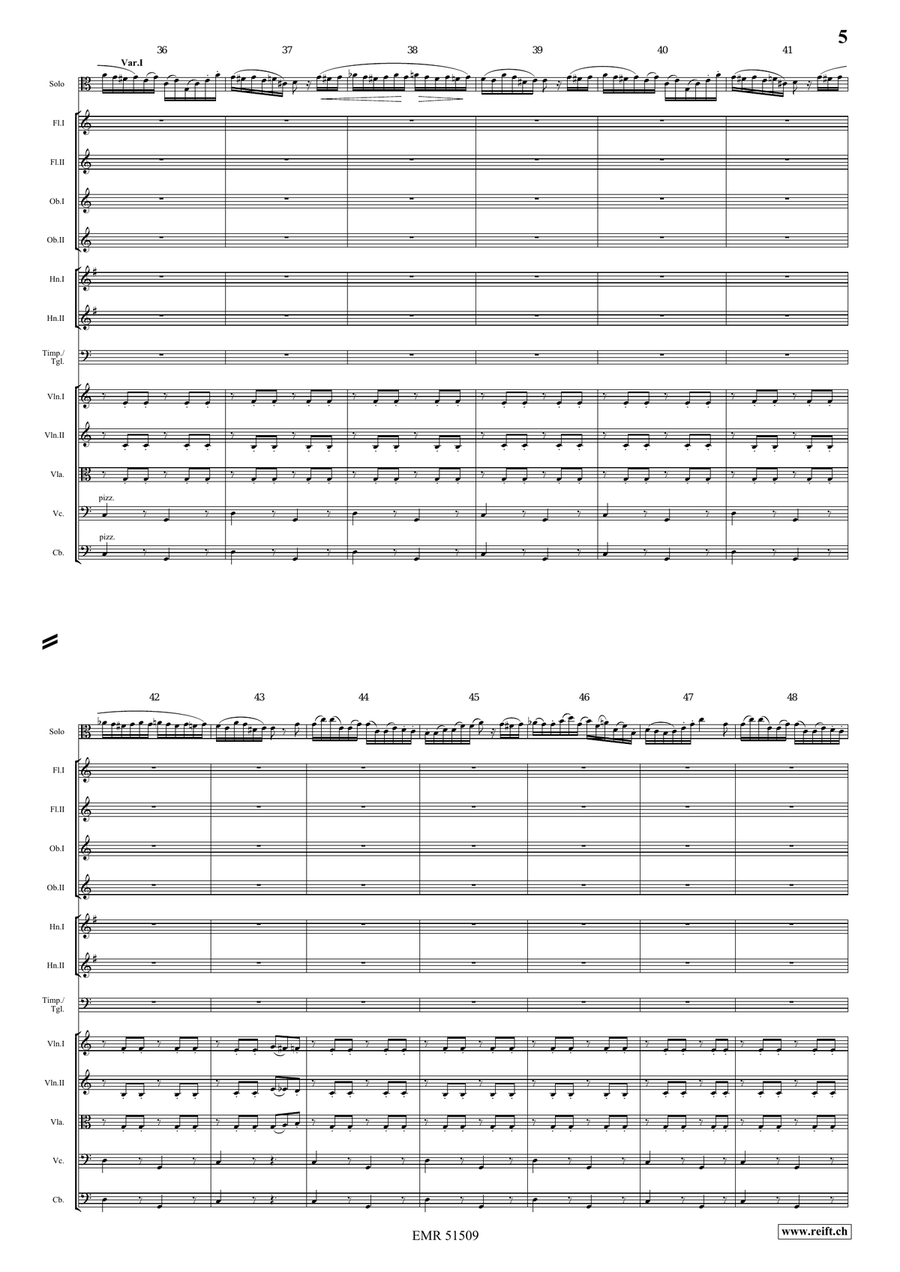 The Carnival Of Venice The Carnival Of Venice Orchestra scores gallery preview page 5