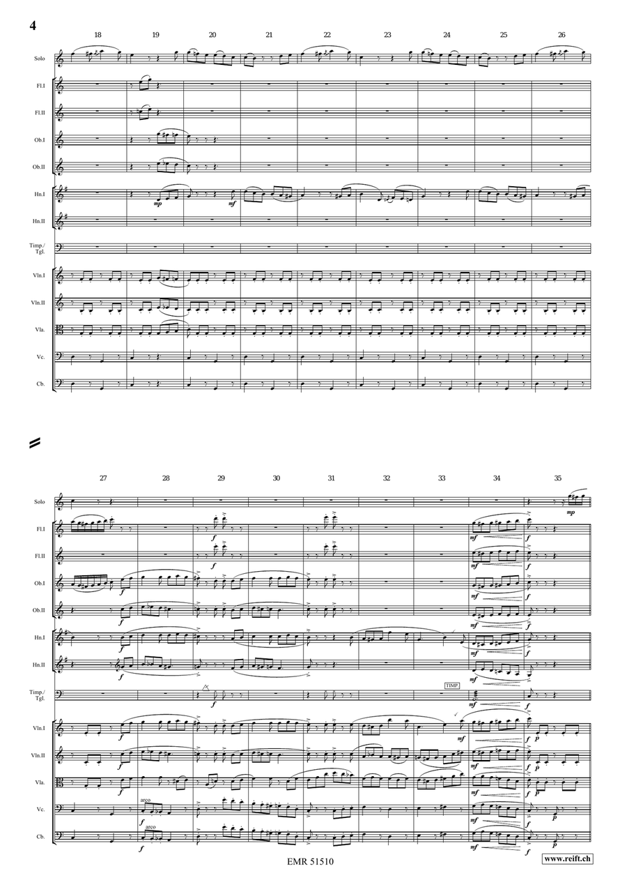 The Carnival Of Venice The Carnival Of Venice Orchestra scores gallery preview page 4