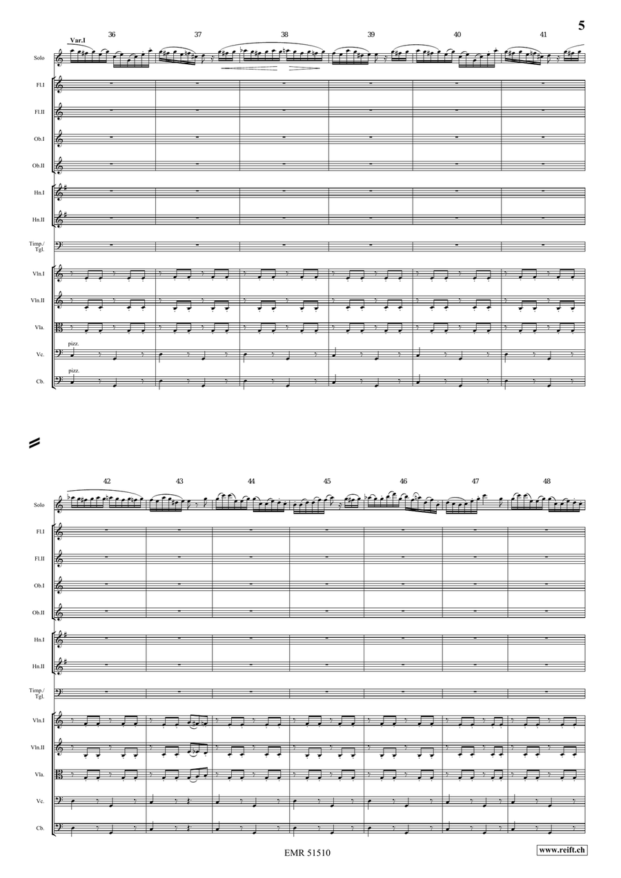 The Carnival Of Venice The Carnival Of Venice Orchestra scores gallery preview page 5