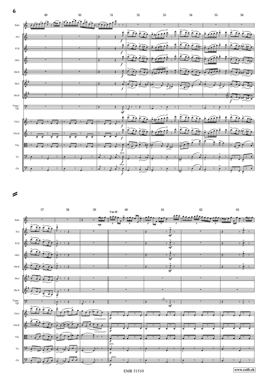 The Carnival Of Venice The Carnival Of Venice Orchestra scores gallery preview page 6